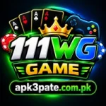111WG Game
